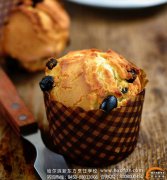 �������¶������ѧ�á������Ѹ����ҵ���