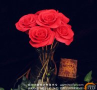 ��Ϧ���˽ڡ����ɿ���õ��