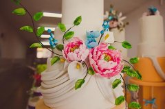 ������Ů�������ʺ�ѧ���㣿