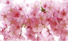 ѧ�����������ӣ���۴������µ�С����