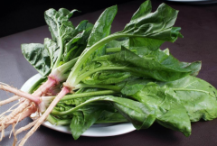 ���˵Ĺ�Ч����Щ ���˵���������Щ