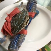 Ϻз�������