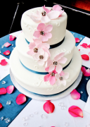 С�����ѧϰ������