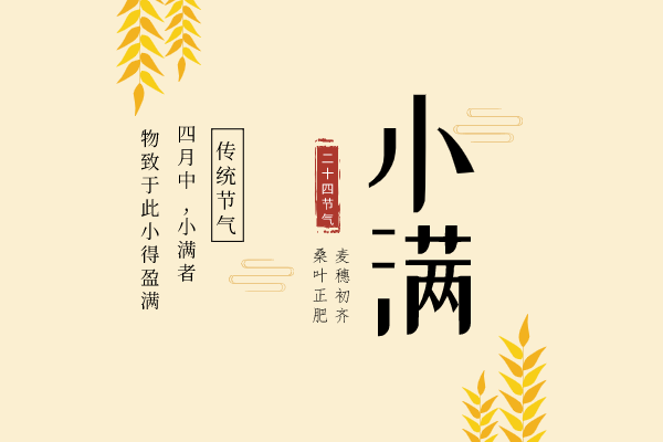 2022女生学起来很吃香的专业