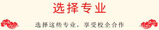 实习单位