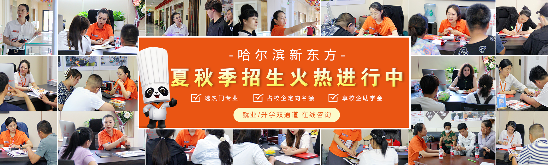 夏秋季招生火热进行中