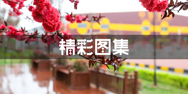 精彩图集